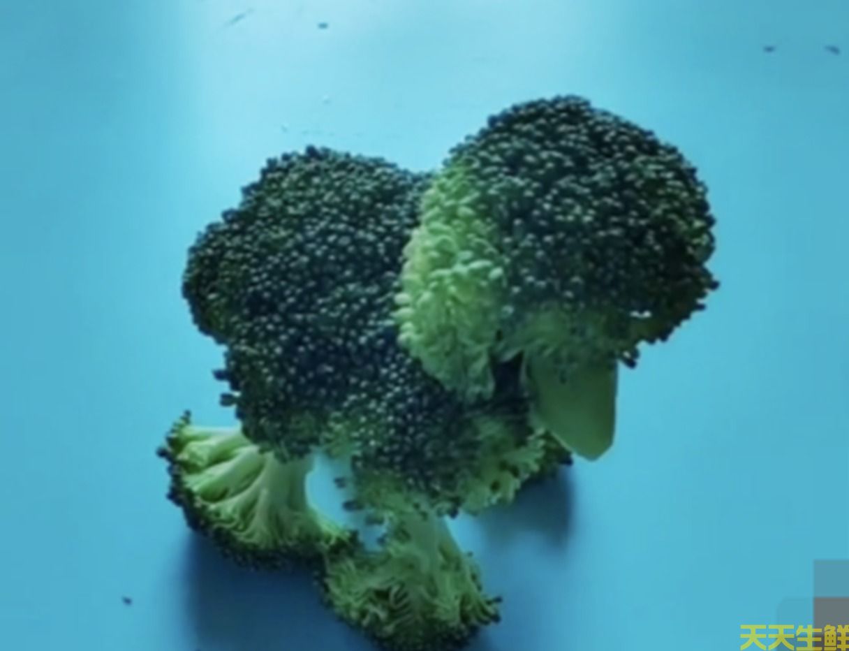 幼兒園蔬菜手工作業(yè)(圖2)