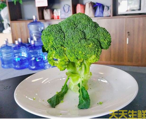 節(jié)日送花選擇蔬菜花，經(jīng)濟實惠的浪漫(圖2)