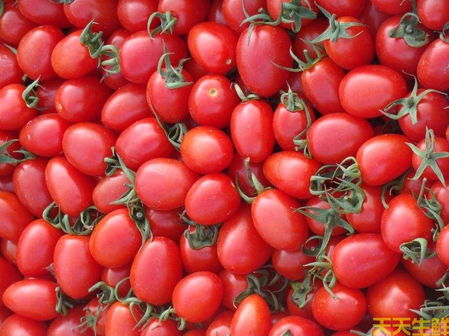 水果配送—圣女果(圖3)