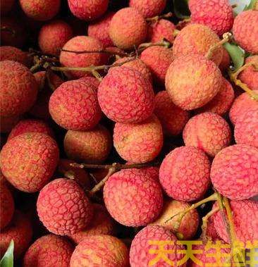 荔枝的品種有哪些？廣州蔬菜配送公司科普(圖4)