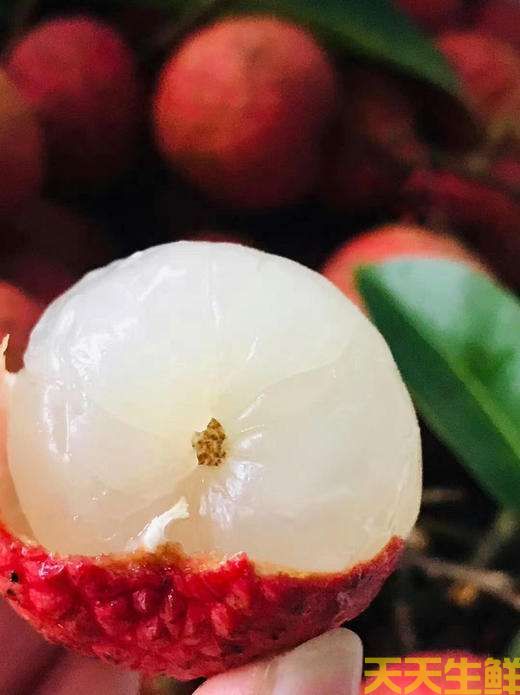 荔枝的品種有哪些？廣州蔬菜配送公司科普(圖16)