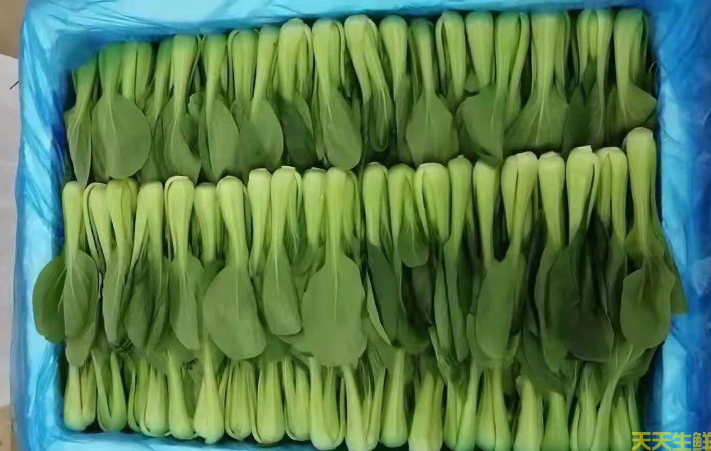 2024年7.8月份蔬菜價格為什么連續(xù)上漲(圖2)