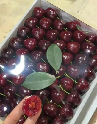 為什么今年車(chē)?yán)遄舆@么便宜？(圖3)