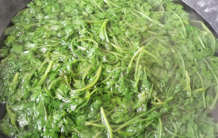 關(guān)于艾葉，你知道多少？(圖2)